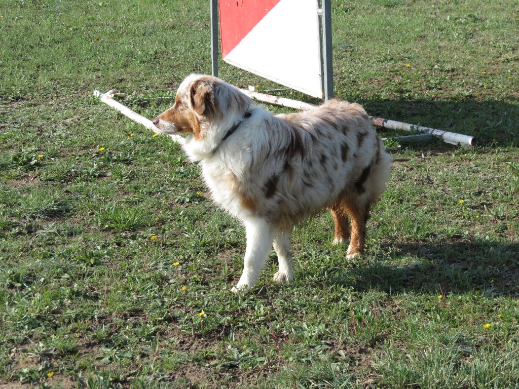 Marley Des Terres De L'Argentelle