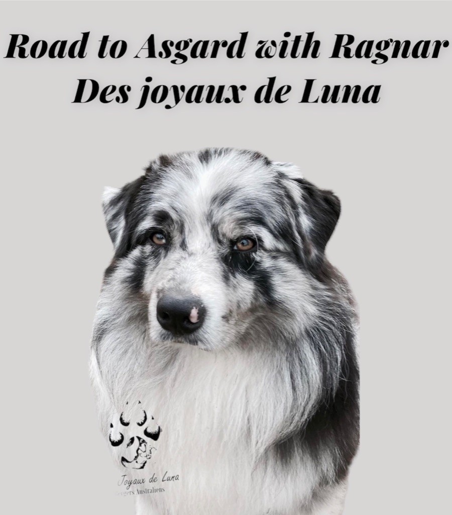 Road to asgard with ragnar Des Joyaux De Luna