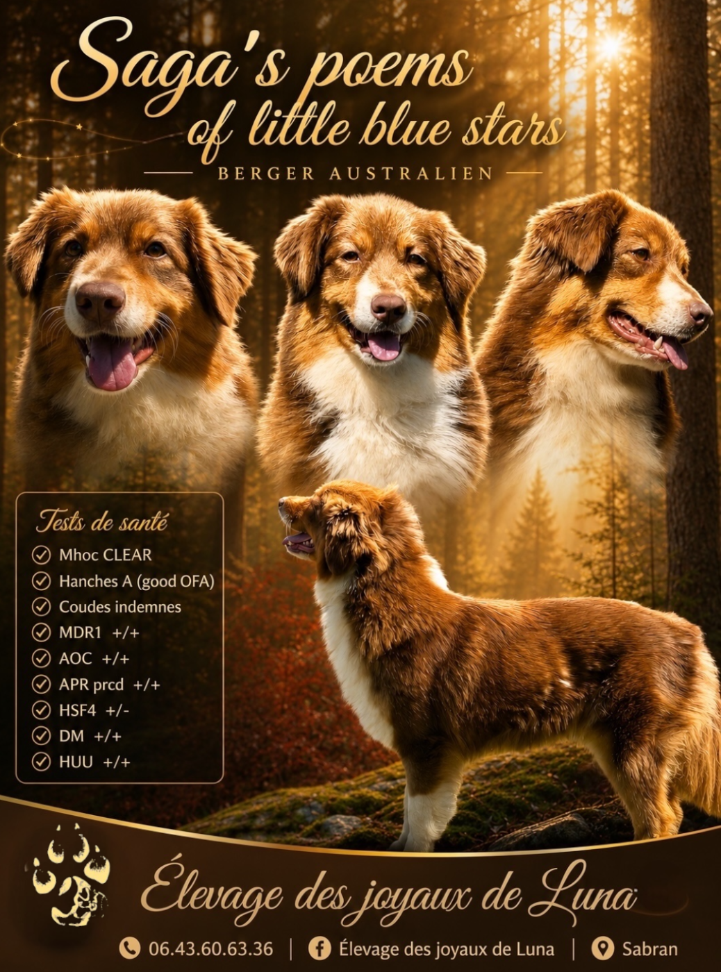 Saga's poems Of Little Blue Stars