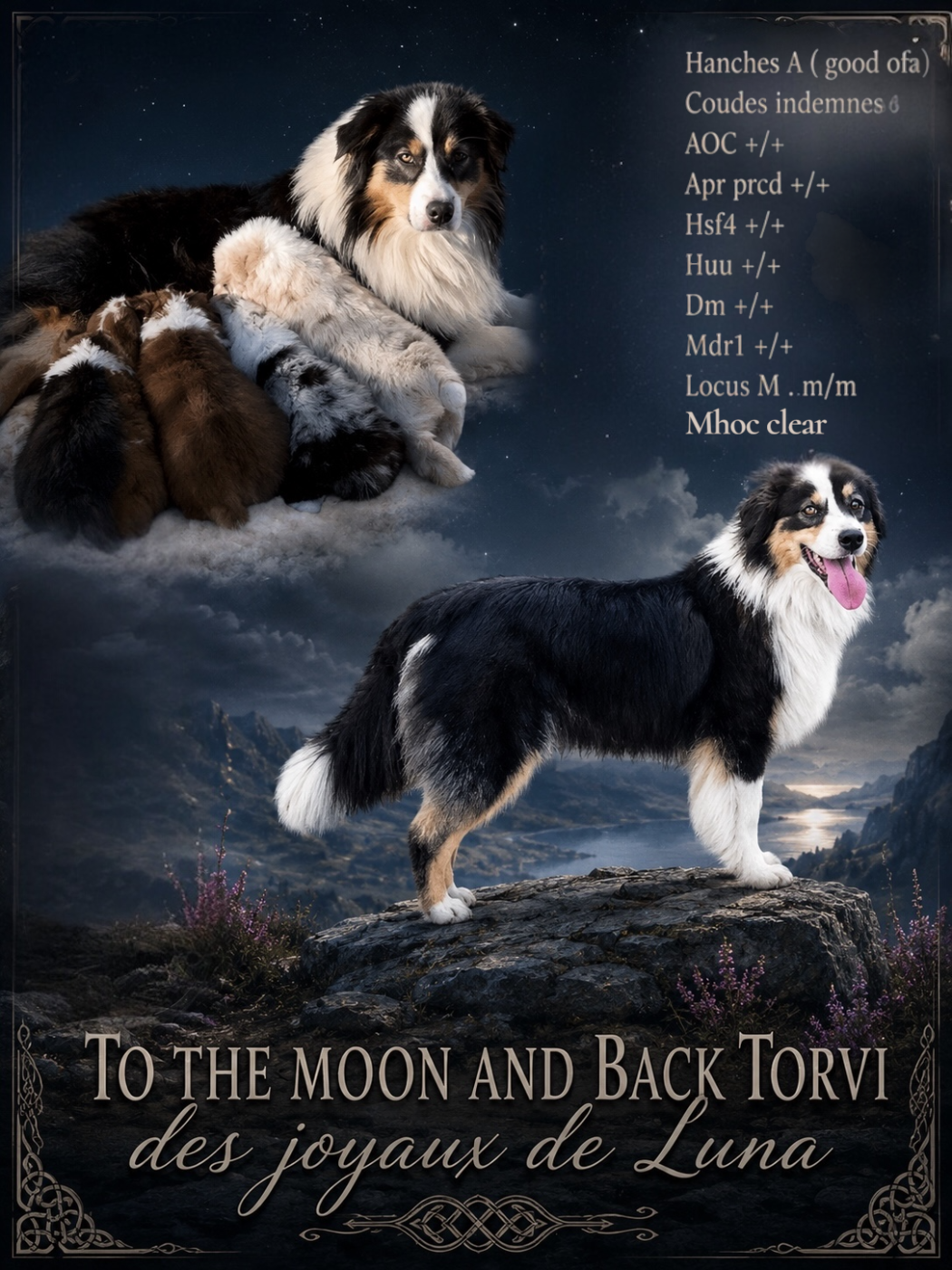To the moon and back torvi Des Joyaux De Luna