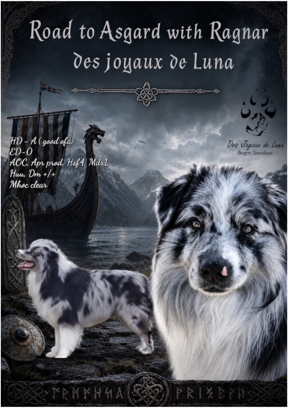 Road to asgard with ragnar Des Joyaux De Luna