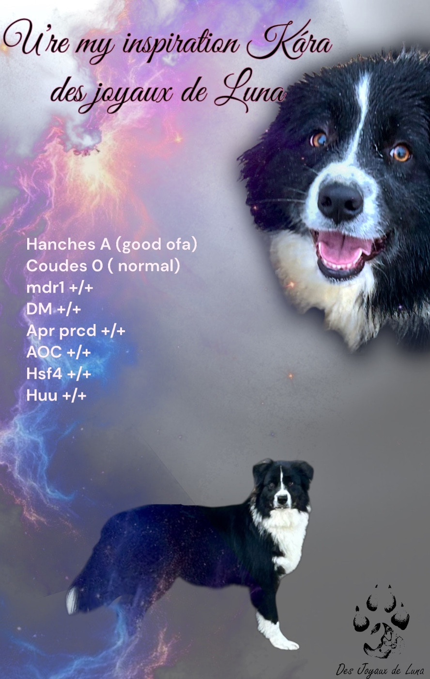 U're my inspiration Kára Des Joyaux De Luna