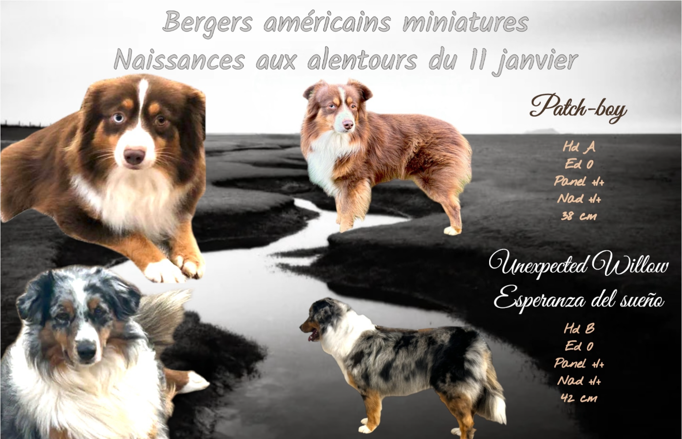 naissances alentours du 11 janvier 2026