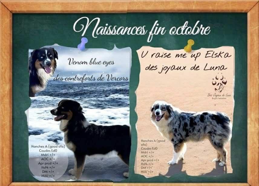 Naissances prévues fin octobre 
